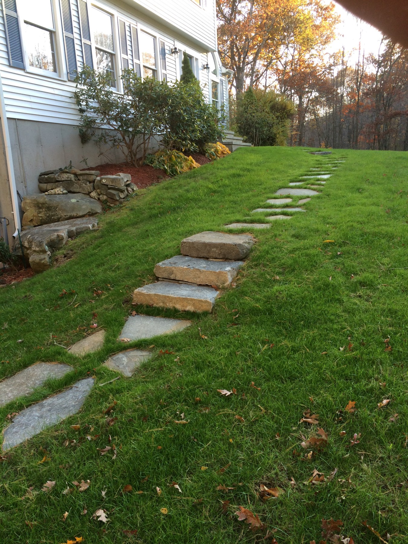 Natural Stone walkway, Steps